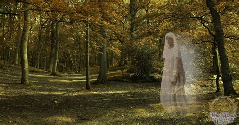 From Fairy Tales to Nightmares: The Ghostly Transformation of Witches